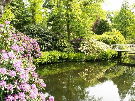 Photo Trompenburg Tuinen & Arboretum en Rotterdam, Voir, Sites touristiques, Quartier, place, parc