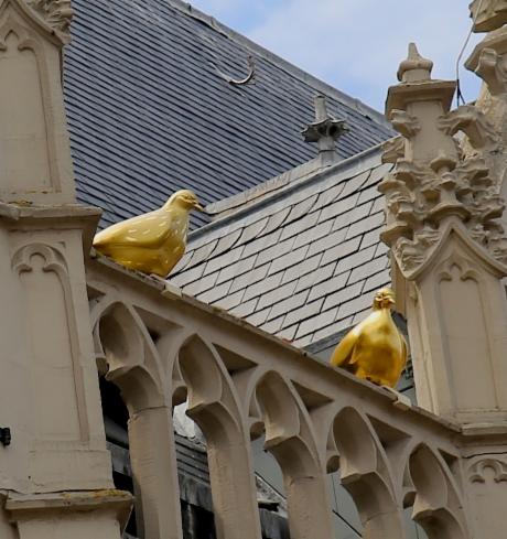 Photo Stadhuis en Alkmaar, Voir, Visiter le lieu