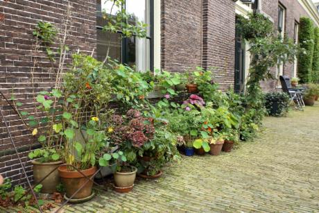 Photo Teylers Hofje en Haarlem, Voir, Sites touristiques, Quartier, place, parc