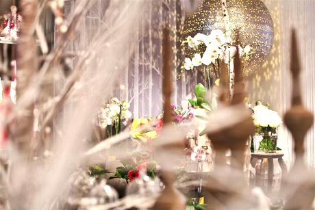 Photo FP by Frissen Pieters en Maastricht, Shopping, Acheter des cadeaux, Accessoires pour la maison
