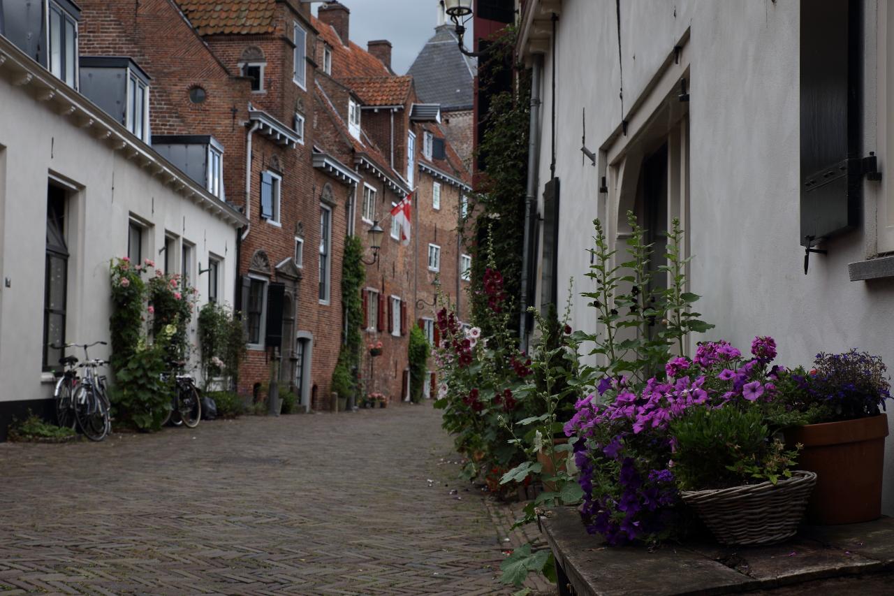 Photo Muurhuizen en Amersfoort, Voir, Sites touristiques, Quartier, place, parc - #3