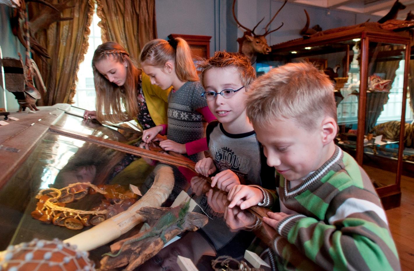 Photo Natuurmuseum Fryslân en Leeuwarden, Voir, Visiter le musée - #1