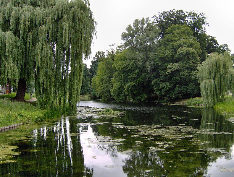 Photo Rijsterborgherpark en Deventer, Voir, Quartier, place, parc - #1