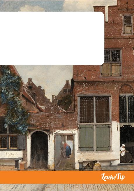 Guide Delft sur les traces de Vermeer art peintre histoire