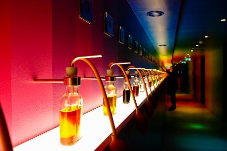Photo House of bols en Amsterdam, Activité, Activités
