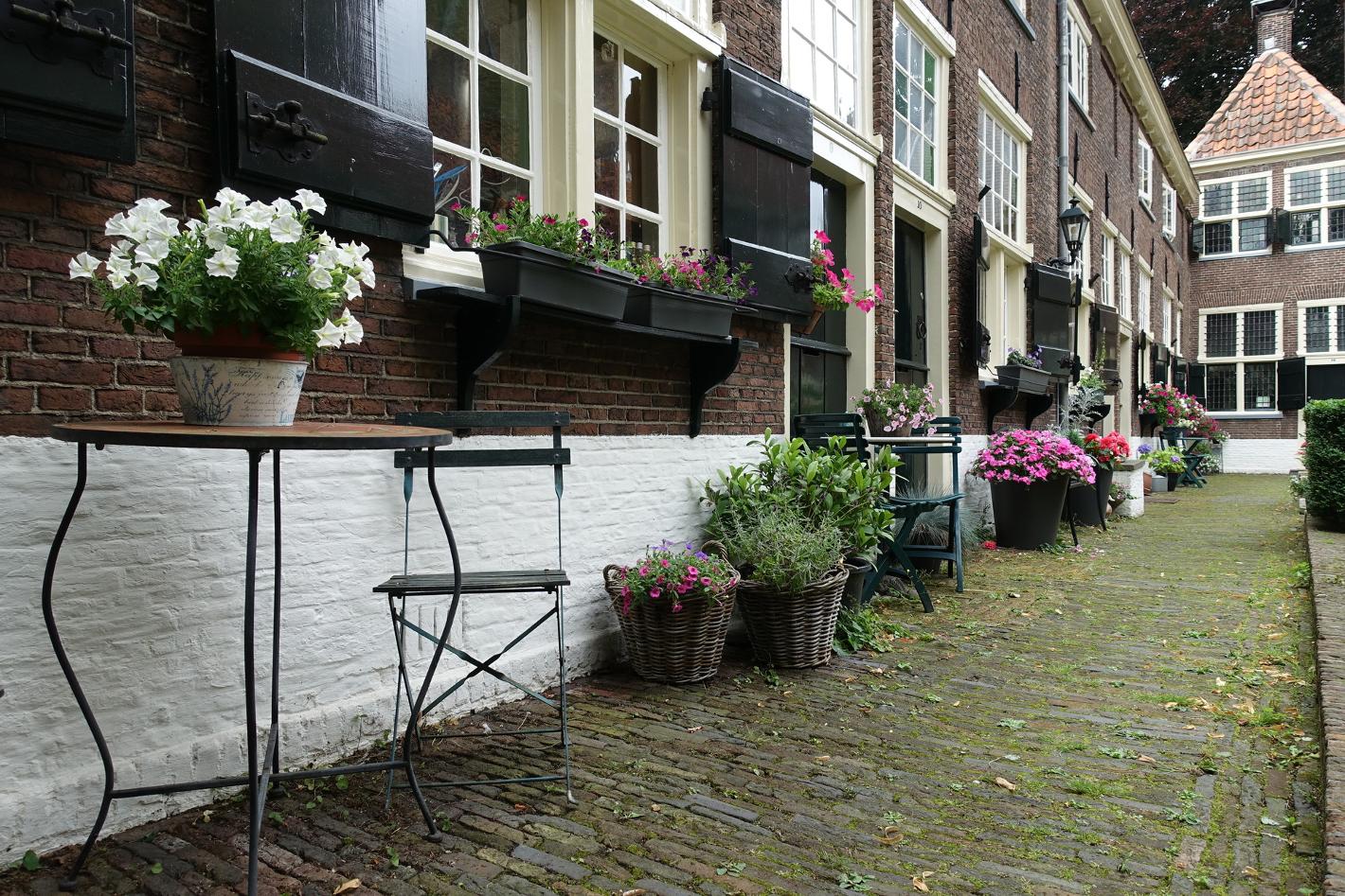 Photo Sint Annahofje en Leiden, Voir, Sites touristiques - #3