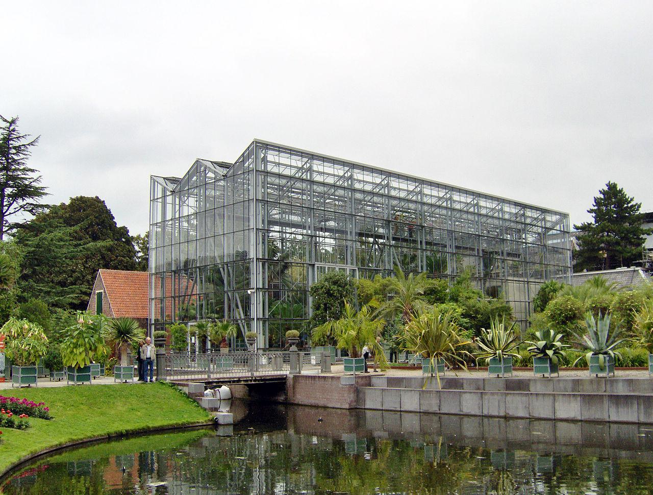 Photo Hortus Botanicus Leiden en Leiden, Voir, Sites touristiques - #1