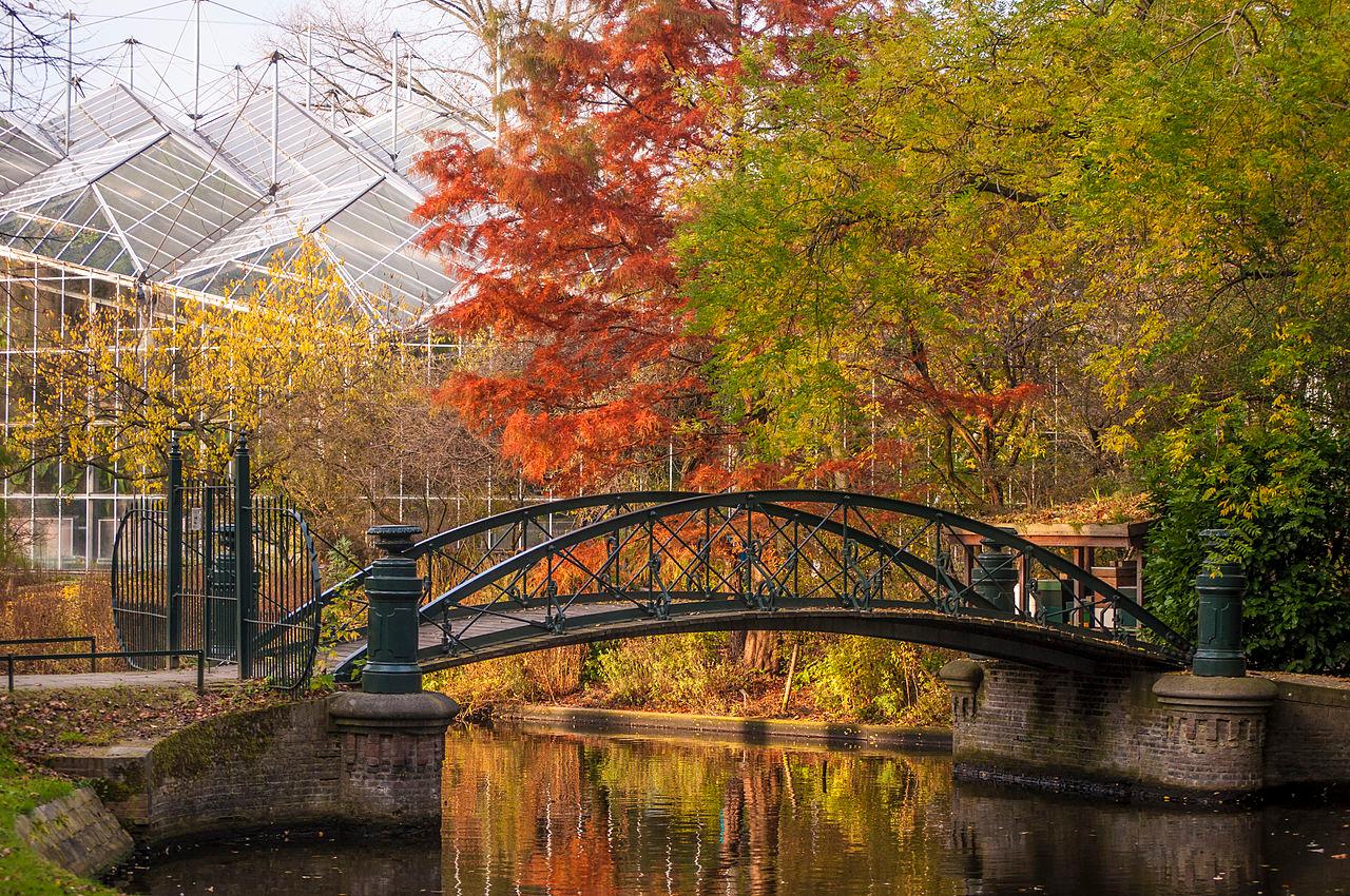 Photo Hortus Botanicus Amsterdam en Amsterdam, Voir, Sites touristiques - #1