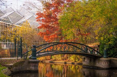 Photo Hortus Botanicus Amsterdam en Amsterdam, Voir, Sites touristiques