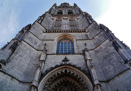 Photo Grote of Onze-Lieve-Vrouwekerk en Breda, Voir, Sites touristiques, Activités