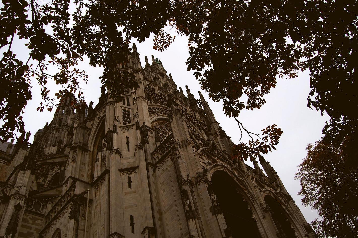 Photo Sint- Janskathedraal en Den Bosch, Voir, Sites touristiques - #1