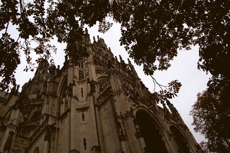 Photo Sint- Janskathedraal en Den Bosch, Voir, Sites touristiques