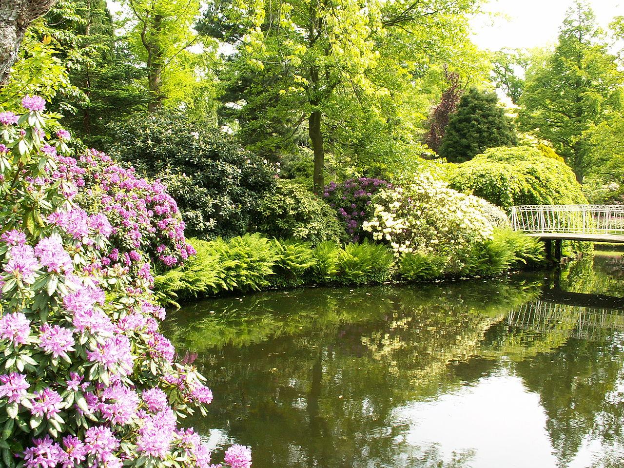 Photo Trompenburg Tuinen & Arboretum en Rotterdam, Voir, Sites touristiques, Quartier, place, parc - #1
