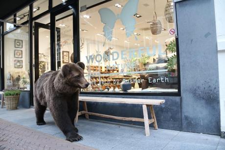 Photo Wonderful Nature en Leiden, Shopping, Art de vivre et cuisiner