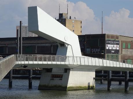 Photo Rijnhavenbrug en Rotterdam, Voir, Quartier, place, parc