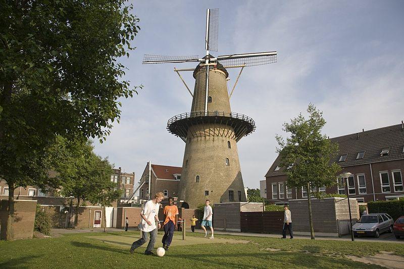 Photo Molen Kyck over den Dyck en Dordrecht, Voir, Sites touristiques, Activités - #2