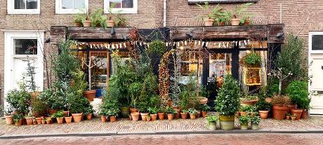 Photo PLANTaardig en Middelburg, Shopping, Acheter des cadeaux, Acheter des trucs de passe-temps